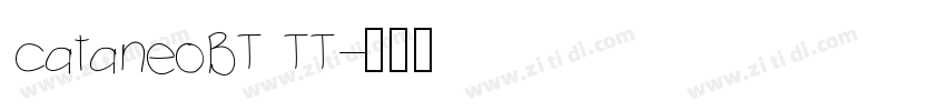 cataneoBT TT字体转换